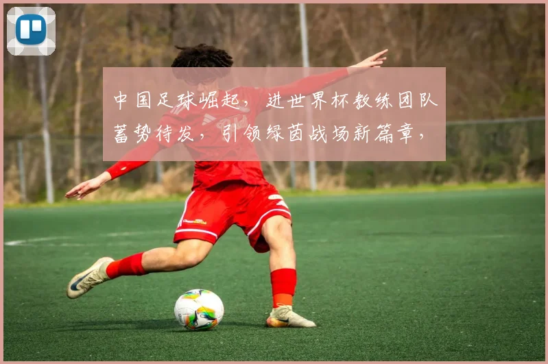 中国足球崛起，进世界杯教练团队蓄势待发，引领绿茵战场新篇章，期待辉煌时刻