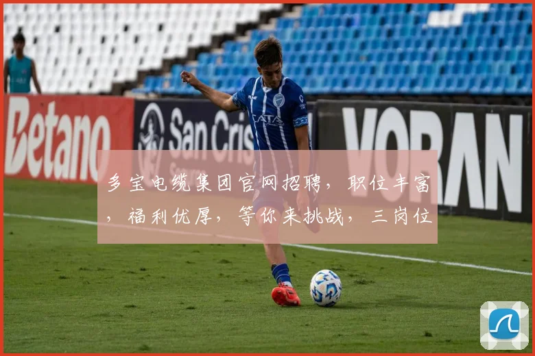 多宝电缆集团官网招聘，职位丰富，福利优厚，等你来挑战，三岗位共招，速来投递